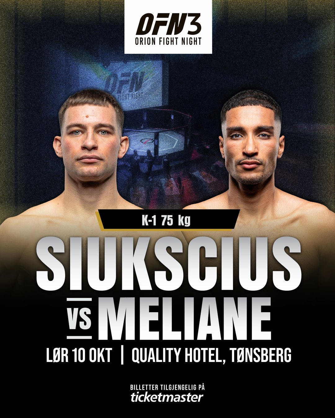 Siukscius mot Meliane, K-1 75 kg